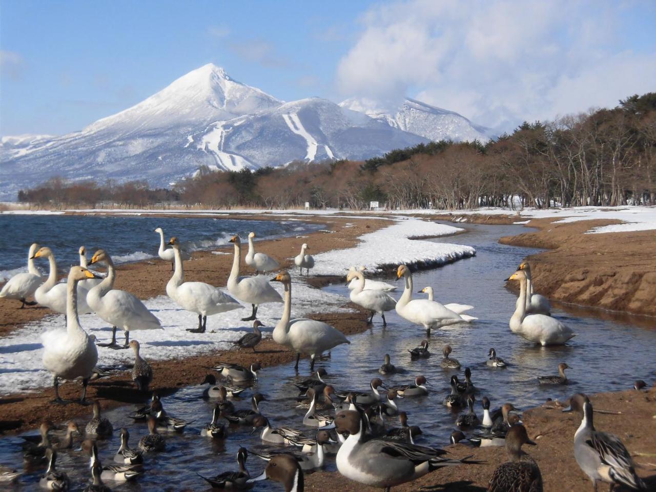 Отель Lakeside Banko Inawashiro Экстерьер фото